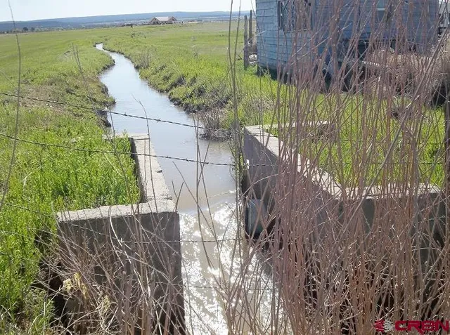 a view of a yard with plants
