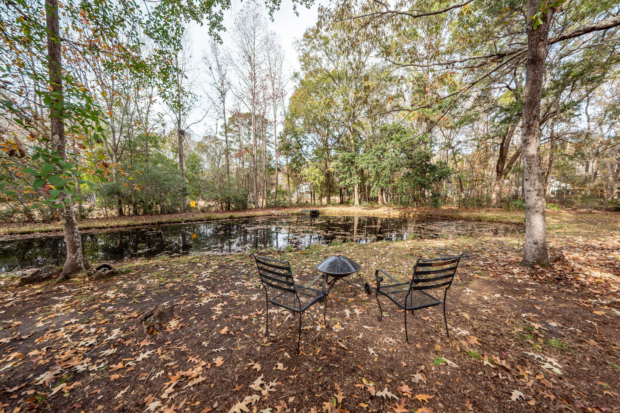 3221 Seaborn Drive Mount Pleasant, SC 29466 - Photo 3 of 58 backyard and pond/greenspace