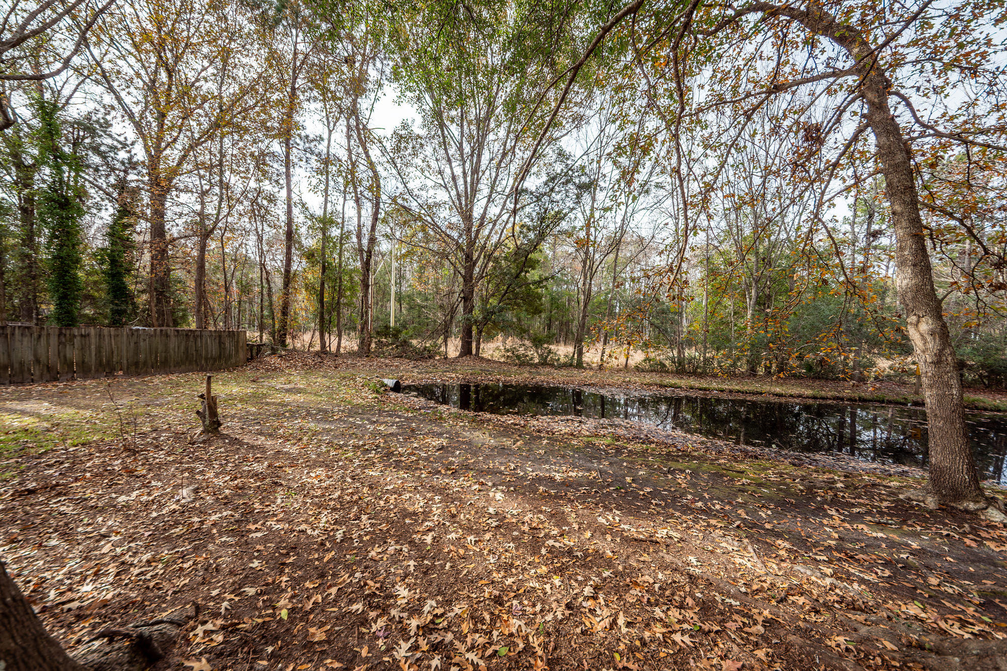 3221 Seaborn Drive Mount Pleasant, SC 29466 - Photo 50 of 58 49