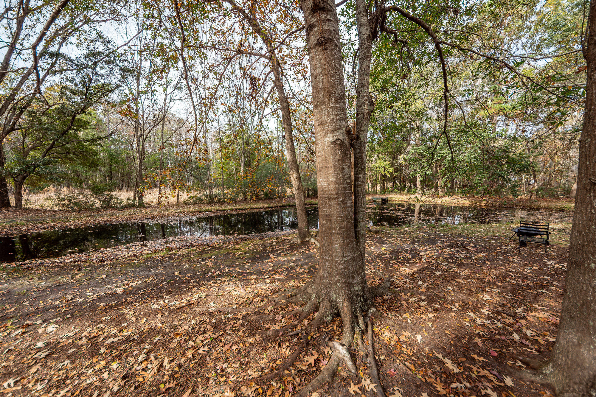 3221 Seaborn Drive Mount Pleasant, SC 29466 - Photo 51 of 58 50