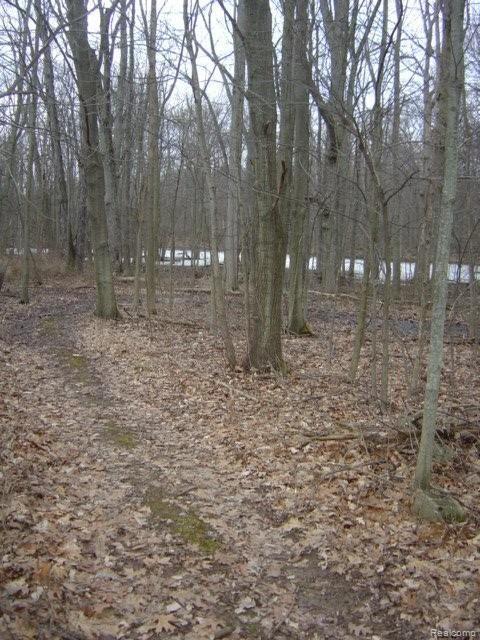 9885 Reese Road Clarkston, MI 48348 - Photo 12 of 24 POND IN THE WOODS