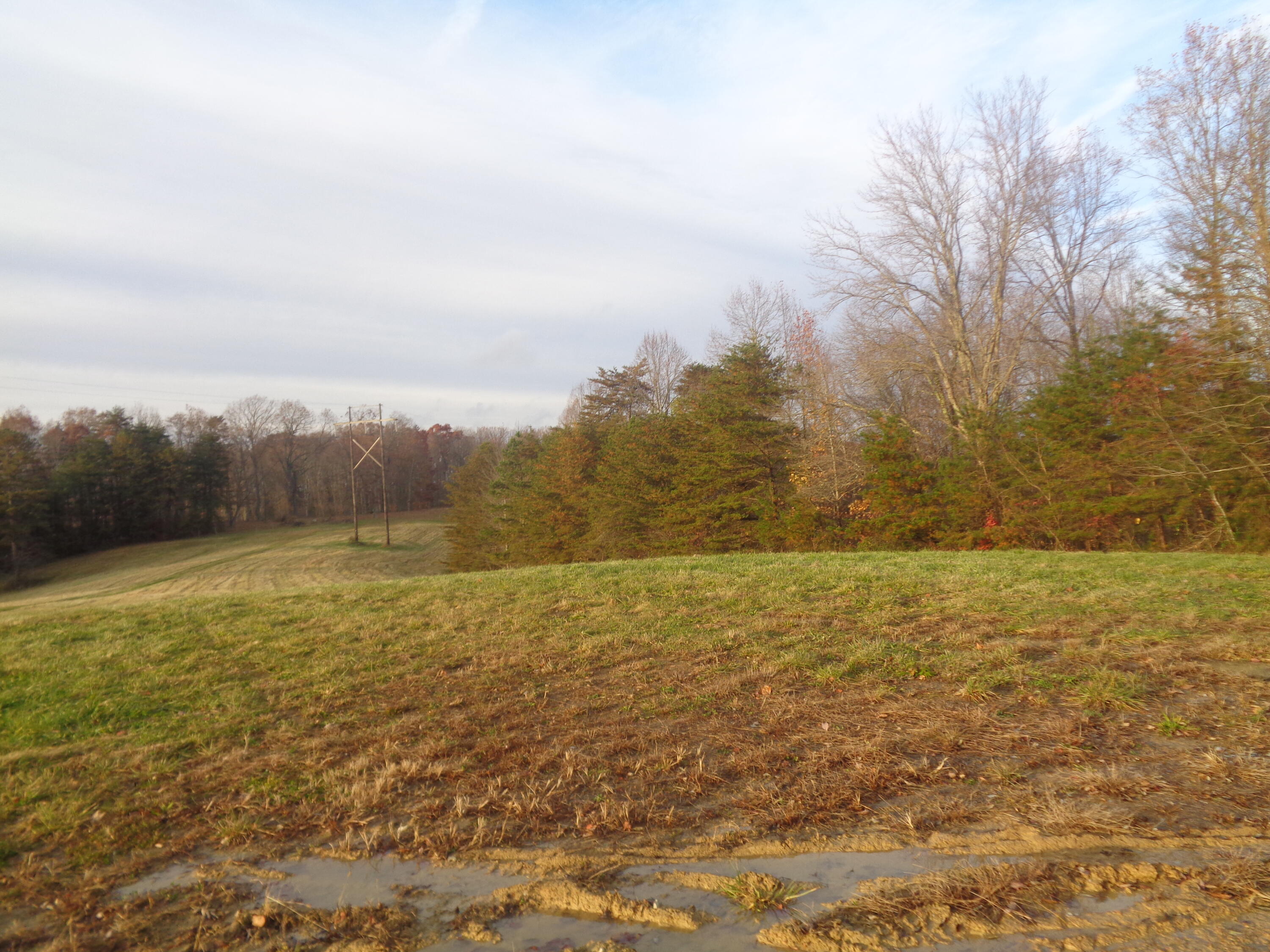 1468 County Farm Road London, KY 40741 - Photo 22 of 26 County Farm 2