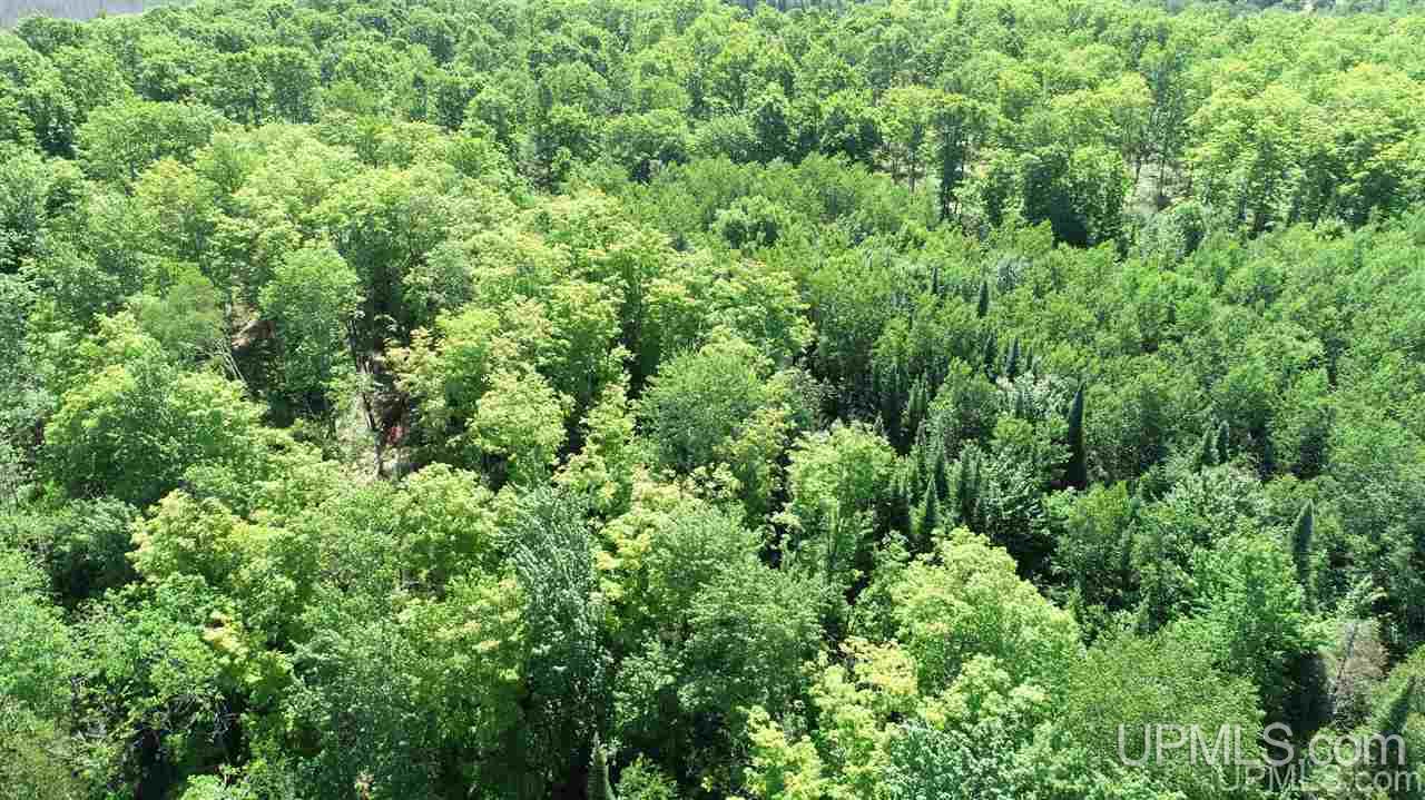 Tbd Off S Curtis Road Germfask, MI 49820 - Photo 20 of 24 Gallery Image 20