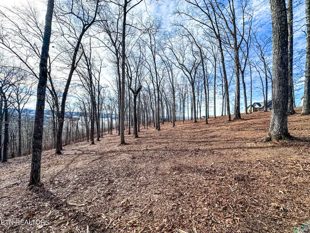 $274,900 | 0 Grand Vista Drive, Rockwood, TN 37854