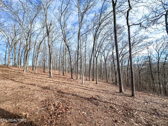 $274,900 | 0 Grand Vista Drive, Rockwood, TN 37854