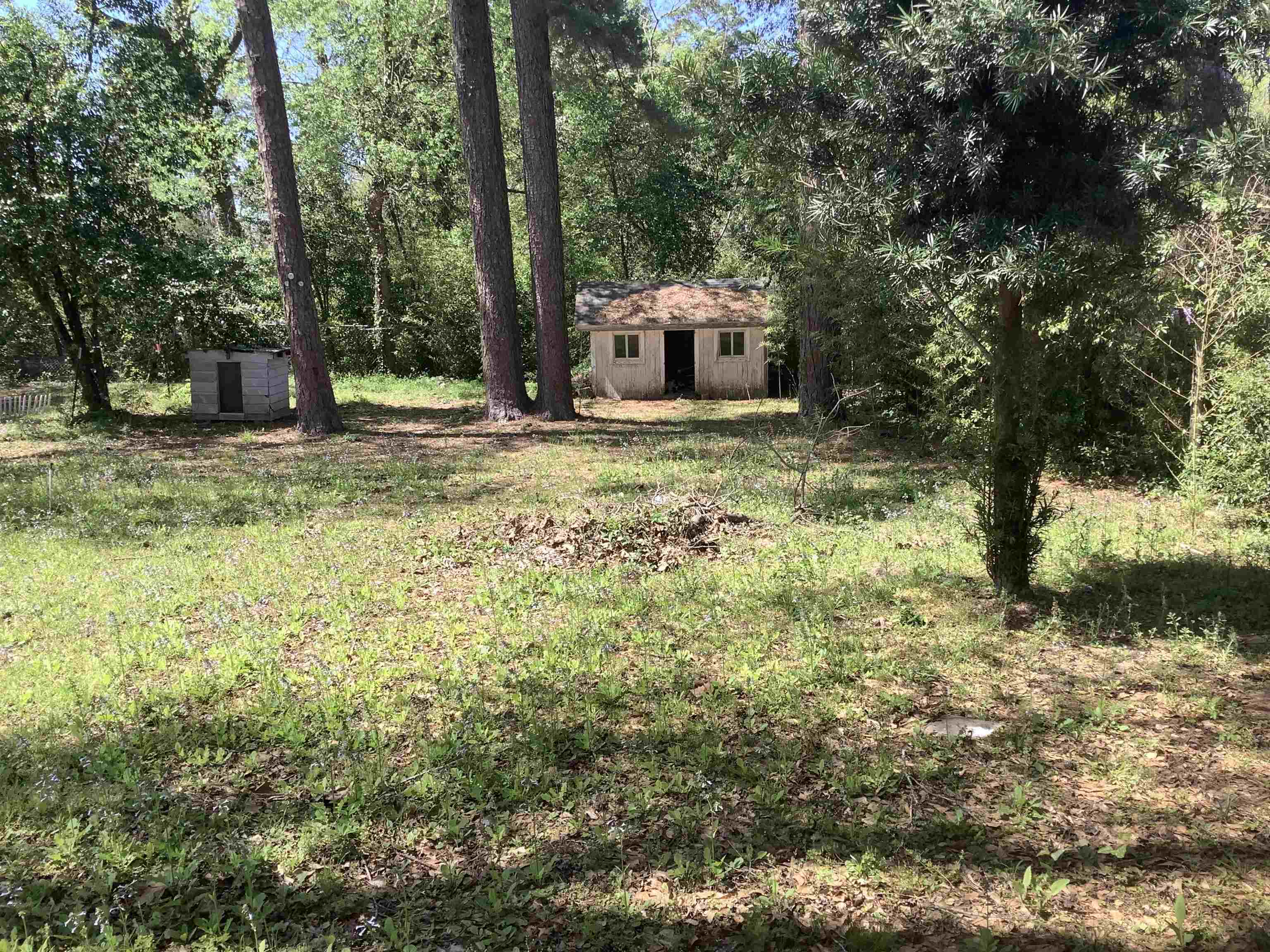 551 3rd Street Jasper, TX 75951 - Photo 12 of 12