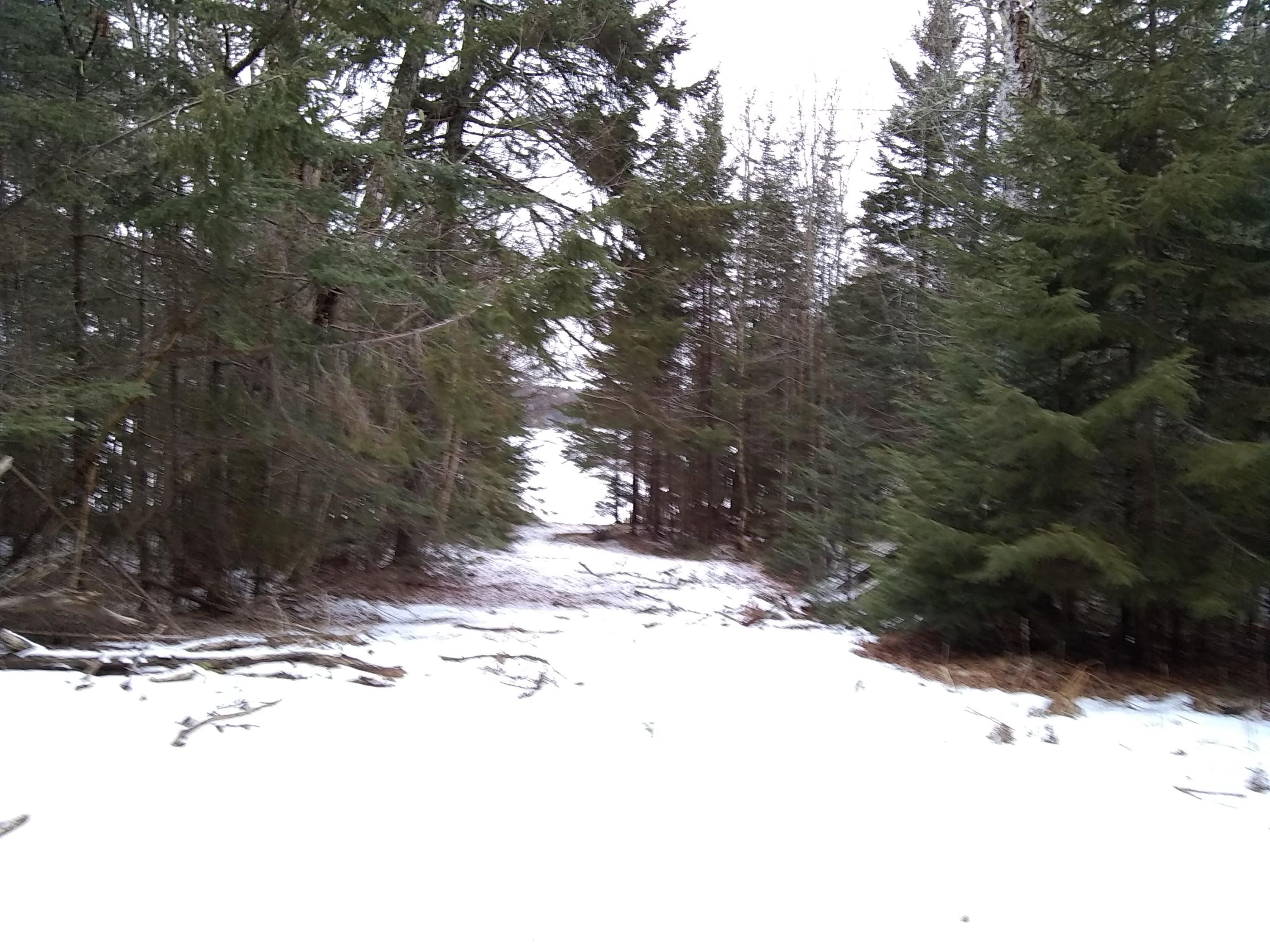 Lot 35.2 Stagecoach Road Dennysville, ME 04628 - Photo 7 of 8 IMG_20190116_092032871