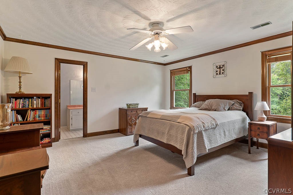 13661 Kingsmill Road Midlothian, VA 23113 - Photo 30 of 50 a spacious bedroom with a large bed and a chandelier