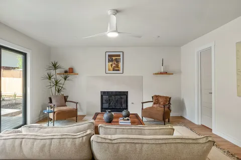 a living room with furniture and a potted plant