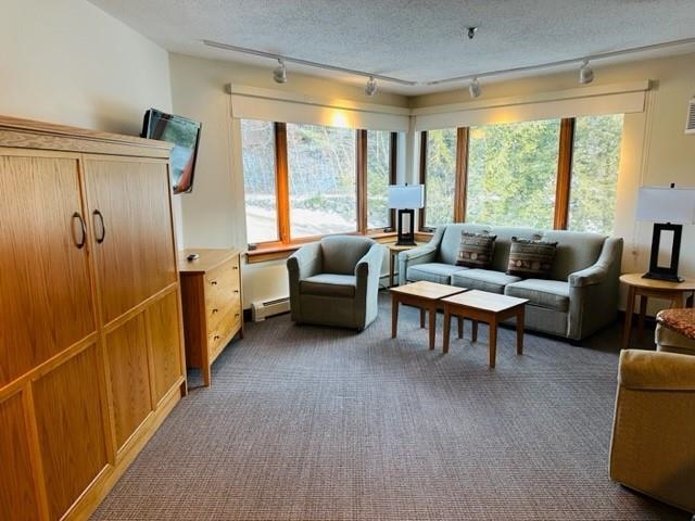 90 Loon Mountain Road, Unit 1201D Lincoln, NH 03251 - Photo 10 of 33