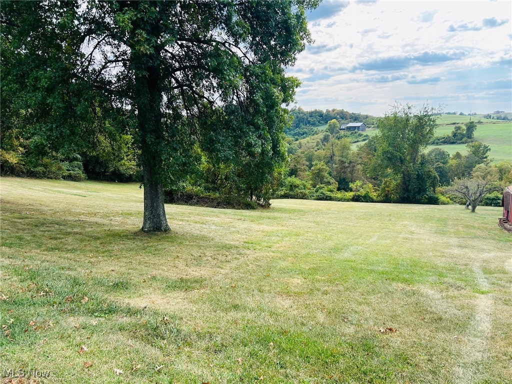 70540 Colerain Road Bridgeport, OH 43912 - Photo 26 of 30