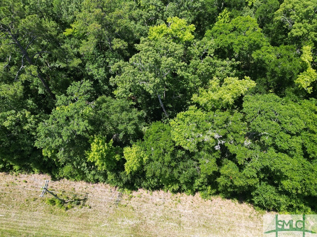 Lot 6 Kings Road Midway, GA 31320 - Photo 8 of 14