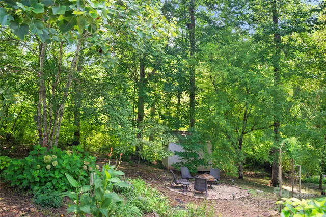 a view of a garden with a tree
