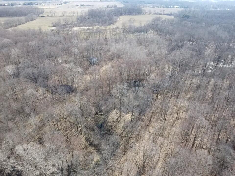 8453 South Durand Road Durand, MI 48429 - Photo 11 of 38 2026-03-29-10-51-30-387