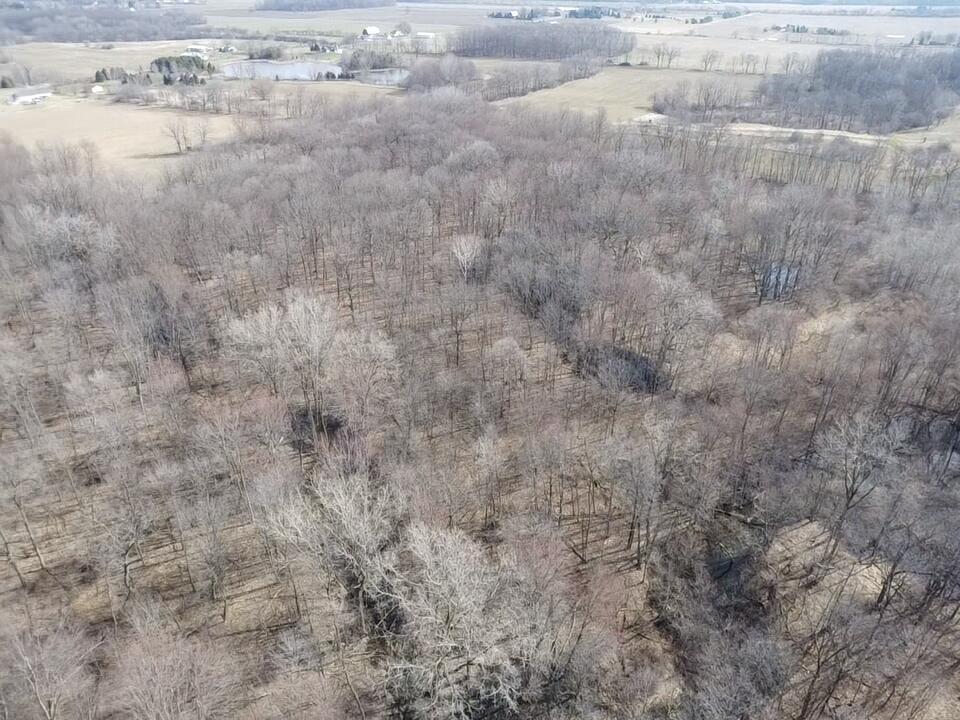 8453 South Durand Road Durand, MI 48429 - Photo 12 of 38 2026-03-29-10-51-31-618