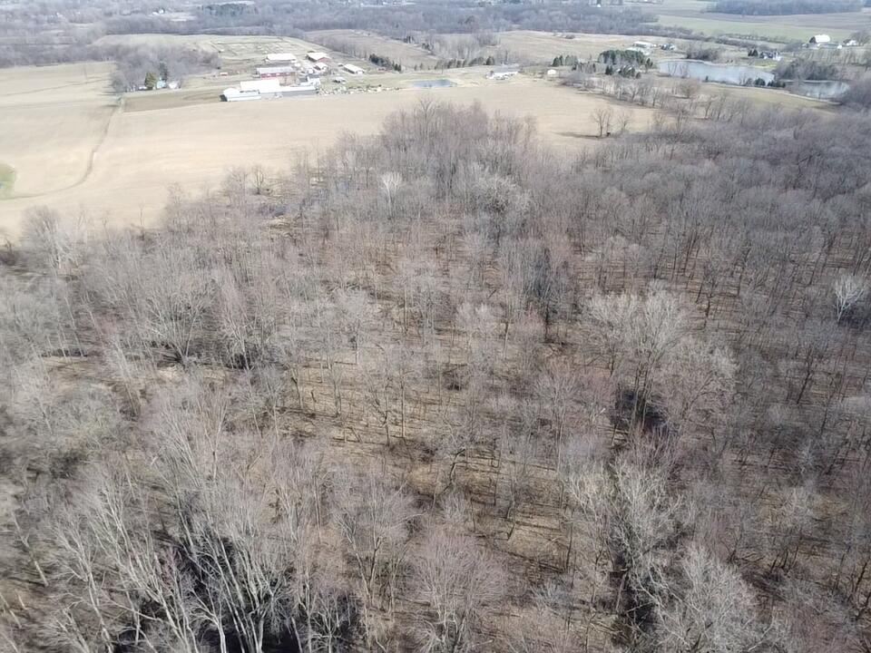 8453 South Durand Road Durand, MI 48429 - Photo 13 of 38 2026-03-29-10-51-33-057