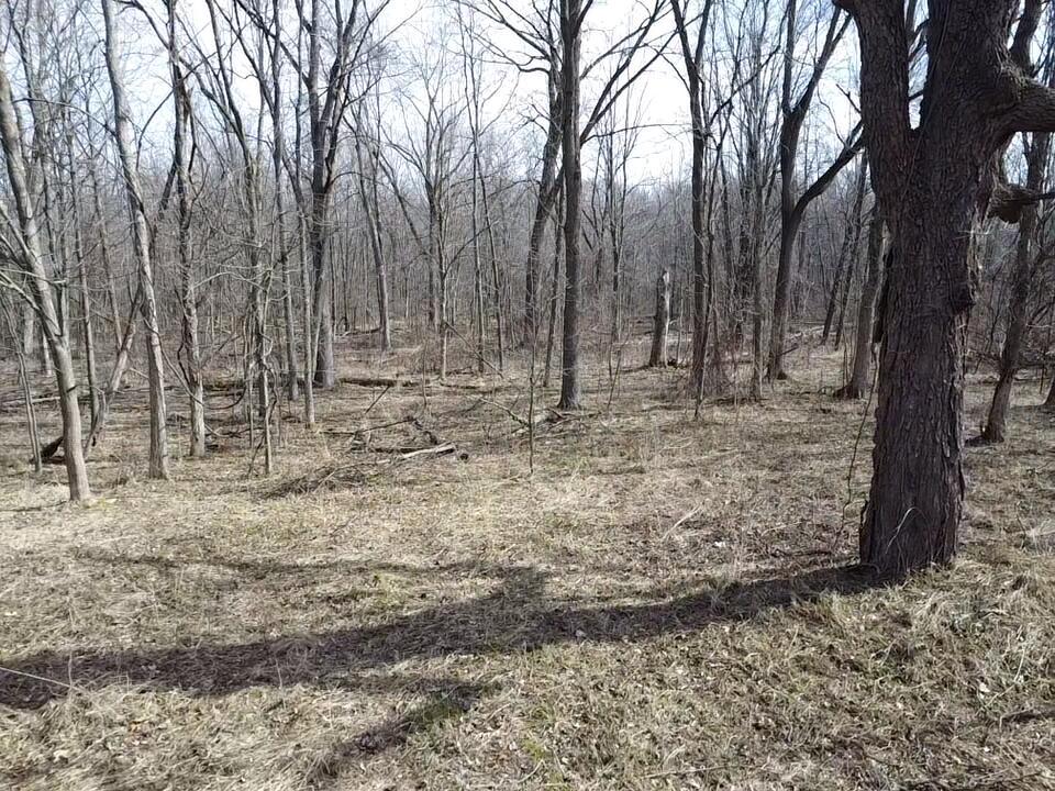 8453 South Durand Road Durand, MI 48429 - Photo 15 of 38 2026-03-29-10-52-25-267