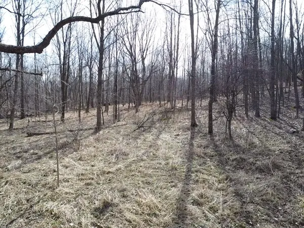 $465,000 | 8453 South Durand Road, Durand, MI 48429