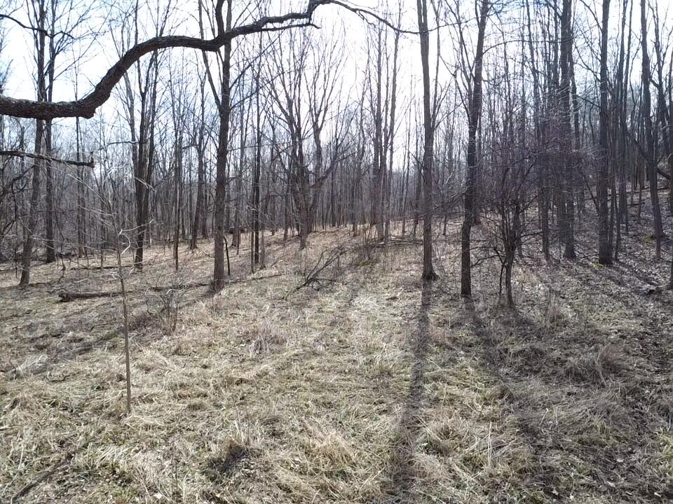 8453 South Durand Road Durand, MI 48429 - Photo 16 of 38 2026-03-29-10-52-28-714