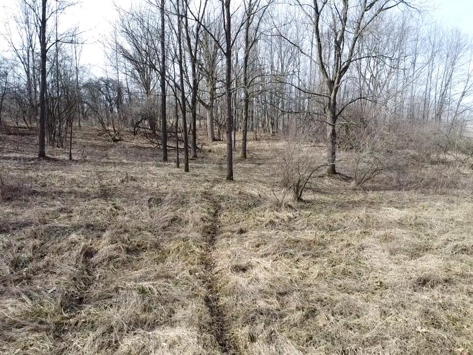 8453 South Durand Road Durand, MI 48429 - Photo 17 of 38 2026-03-29-10-52-34-219