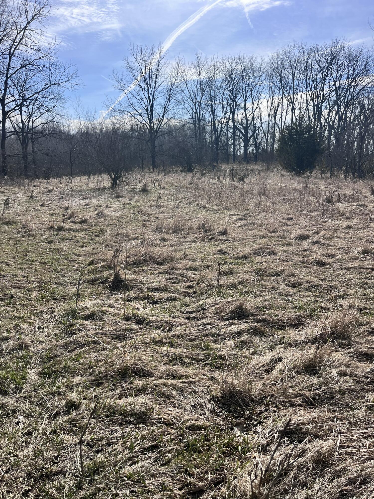 8453 South Durand Road Durand, MI 48429 - Photo 18 of 38 IMG_8149