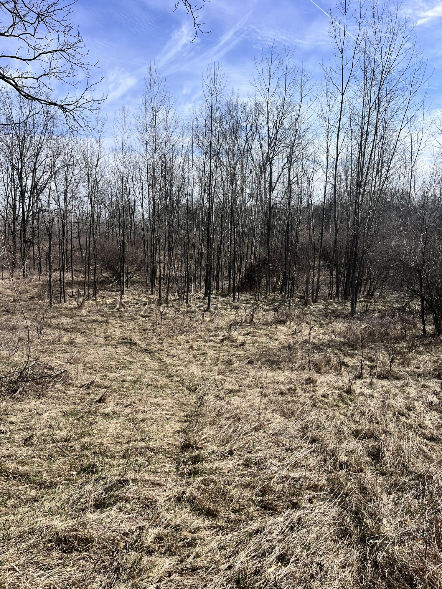 8453 South Durand Road Durand, MI 48429 - Photo 20 of 38 IMG_8151