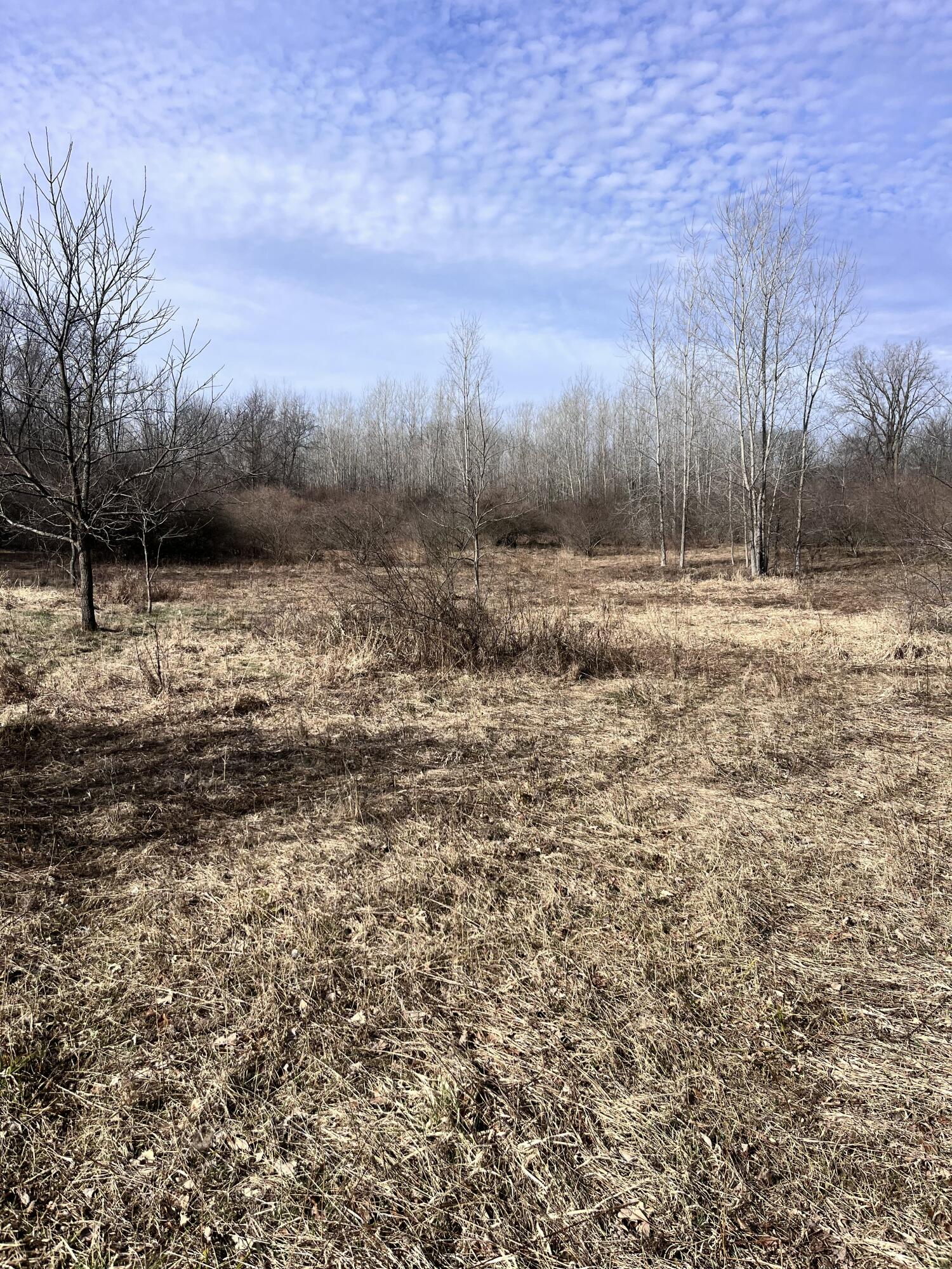 8453 South Durand Road Durand, MI 48429 - Photo 22 of 38 IMG_8154