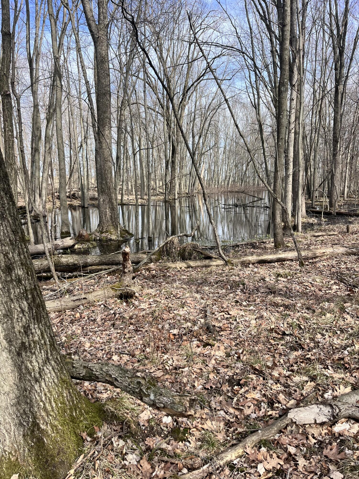 8453 South Durand Road Durand, MI 48429 - Photo 23 of 38 IMG_8174