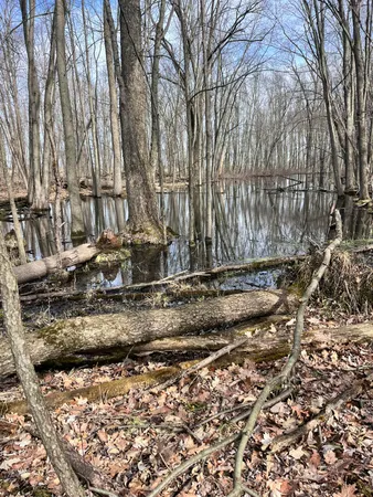 $465,000 | 8453 South Durand Road, Durand, MI 48429
