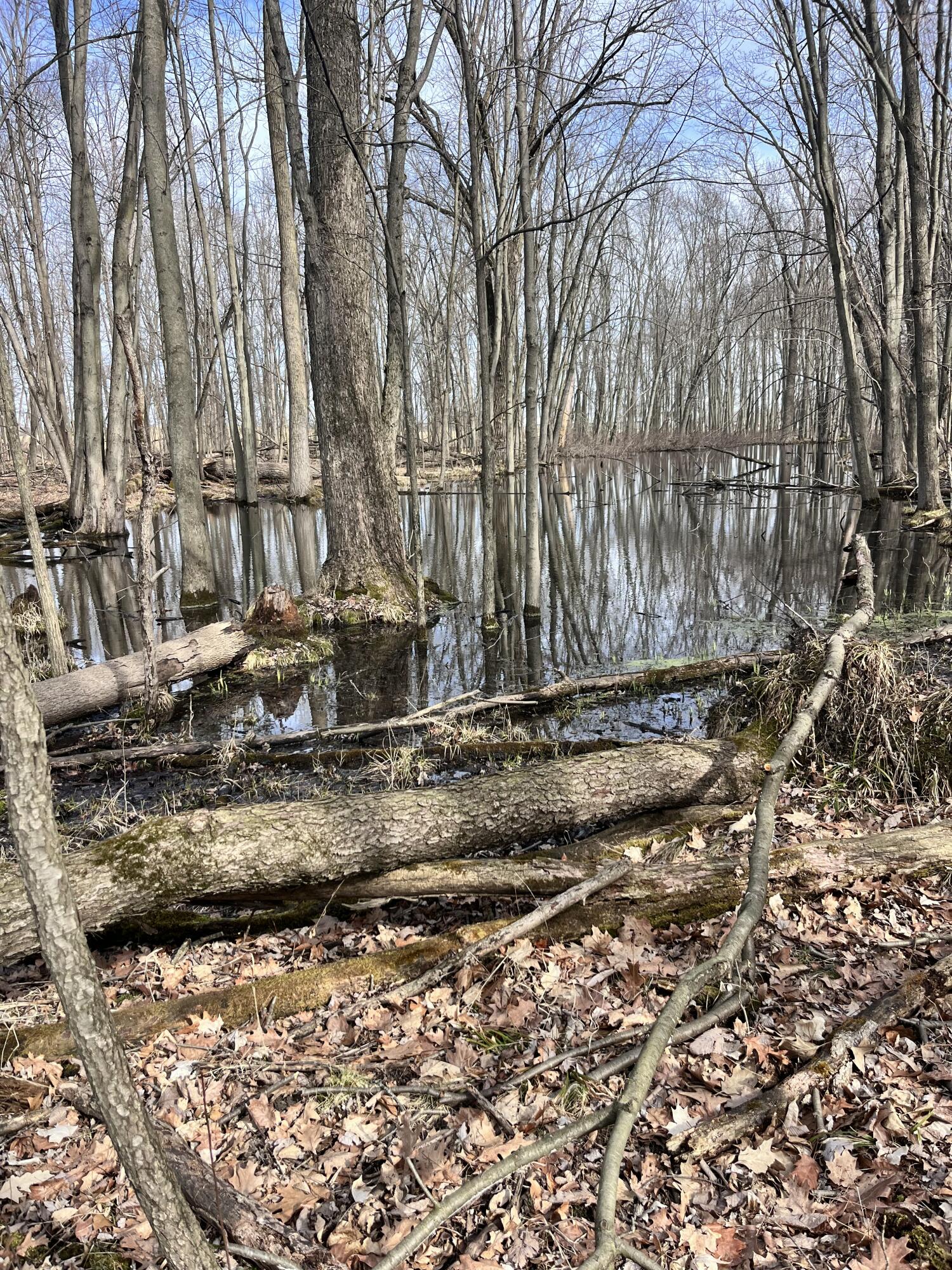 8453 South Durand Road Durand, MI 48429 - Photo 24 of 38 IMG_8175