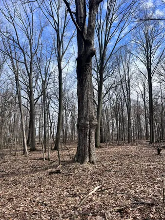 $465,000 | 8453 South Durand Road, Durand, MI 48429
