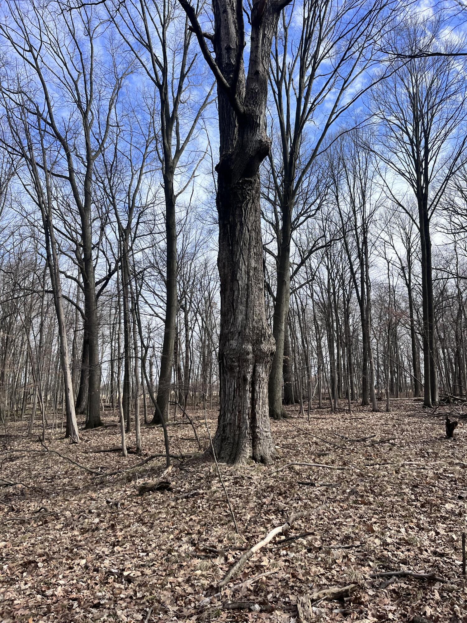 8453 South Durand Road Durand, MI 48429 - Photo 25 of 38 IMG_8176