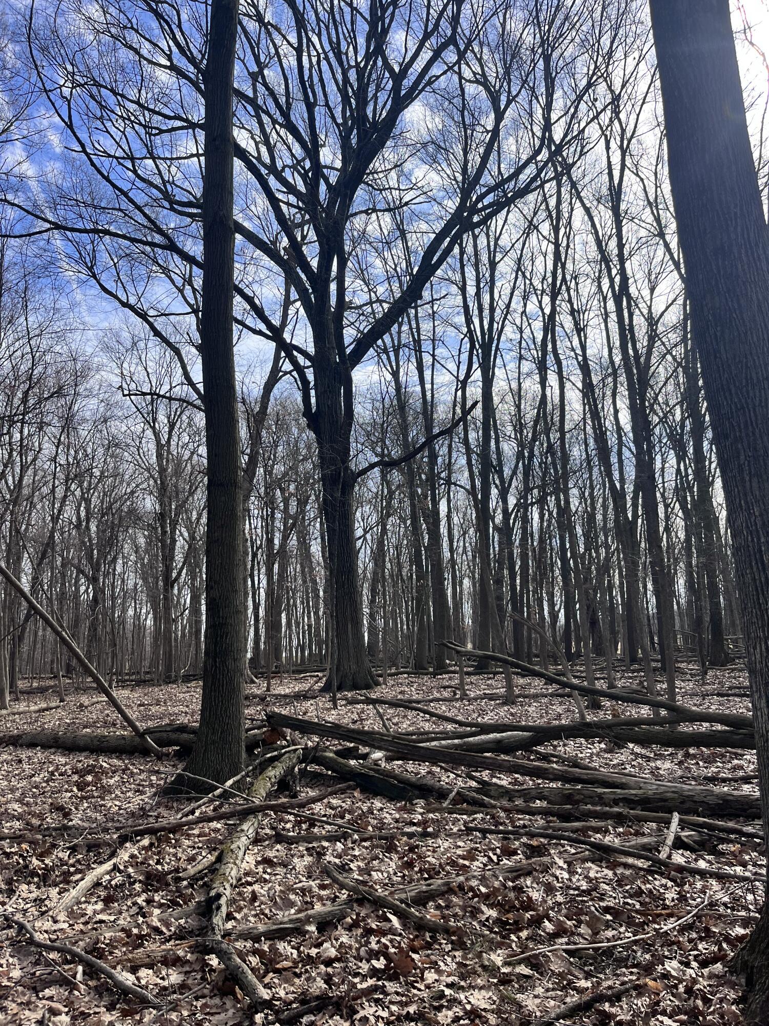 8453 South Durand Road Durand, MI 48429 - Photo 26 of 38 IMG_8177