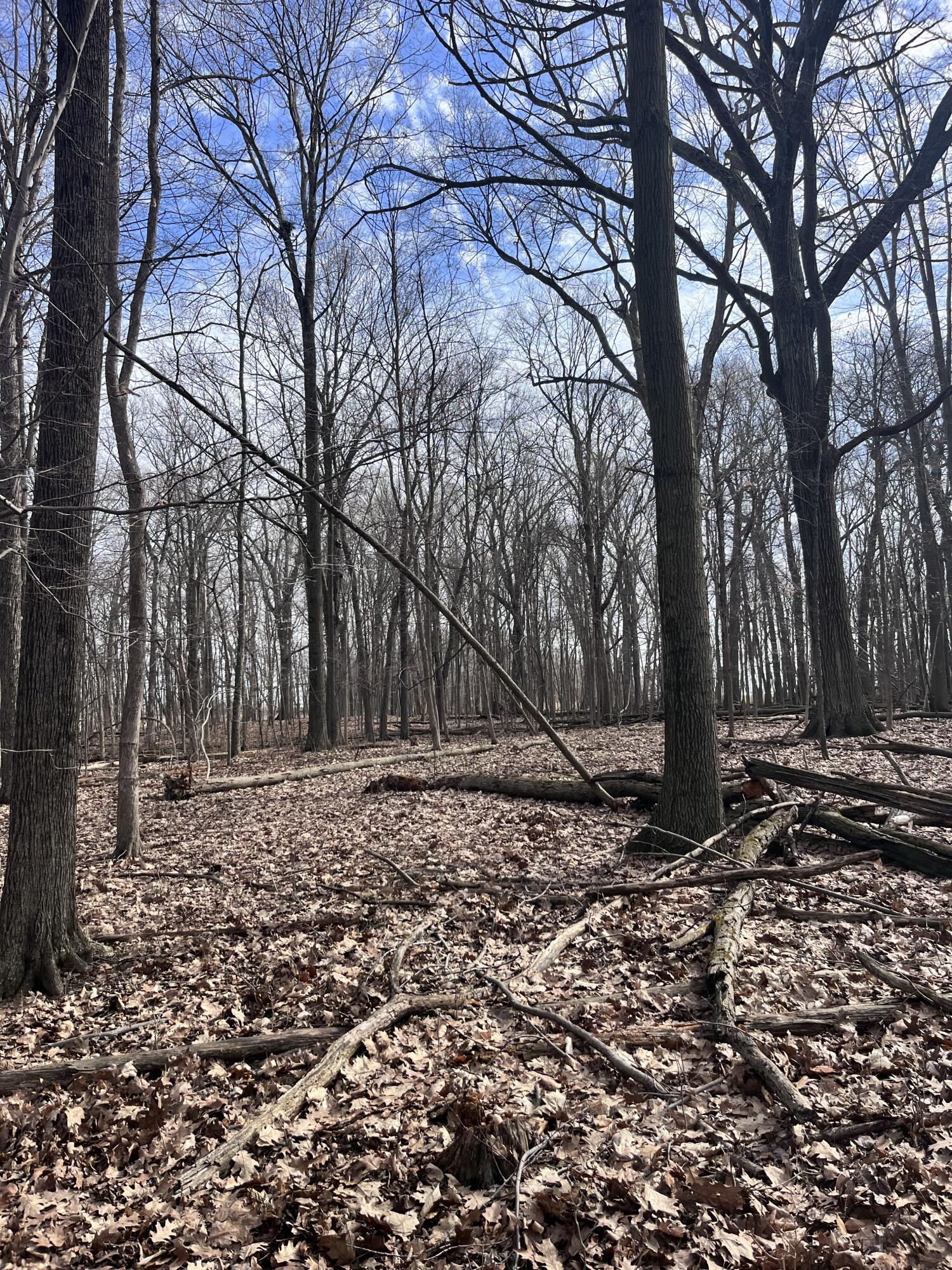 8453 South Durand Road Durand, MI 48429 - Photo 28 of 38 IMG_8179