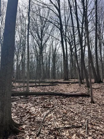 $465,000 | 8453 South Durand Road, Durand, MI 48429