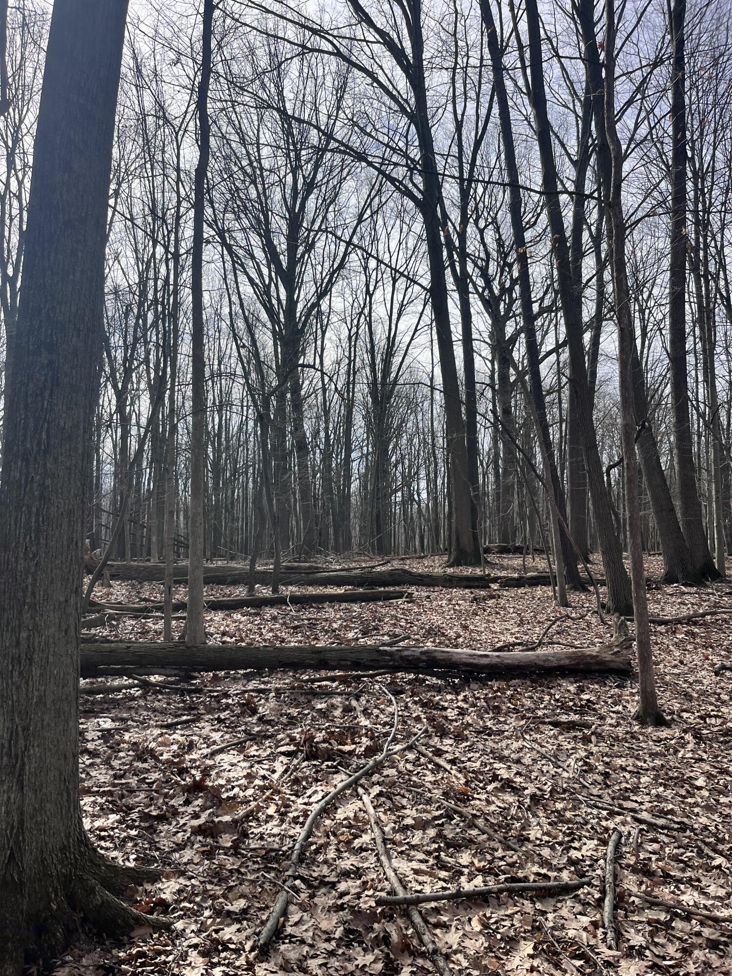 8453 South Durand Road Durand, MI 48429 - Photo 29 of 38 IMG_8181