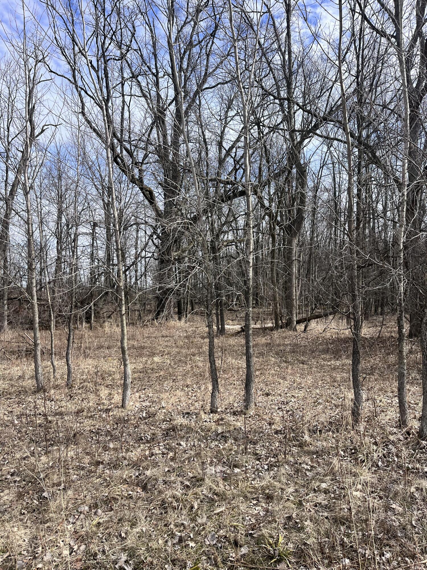 8453 South Durand Road Durand, MI 48429 - Photo 31 of 38 IMG_8185