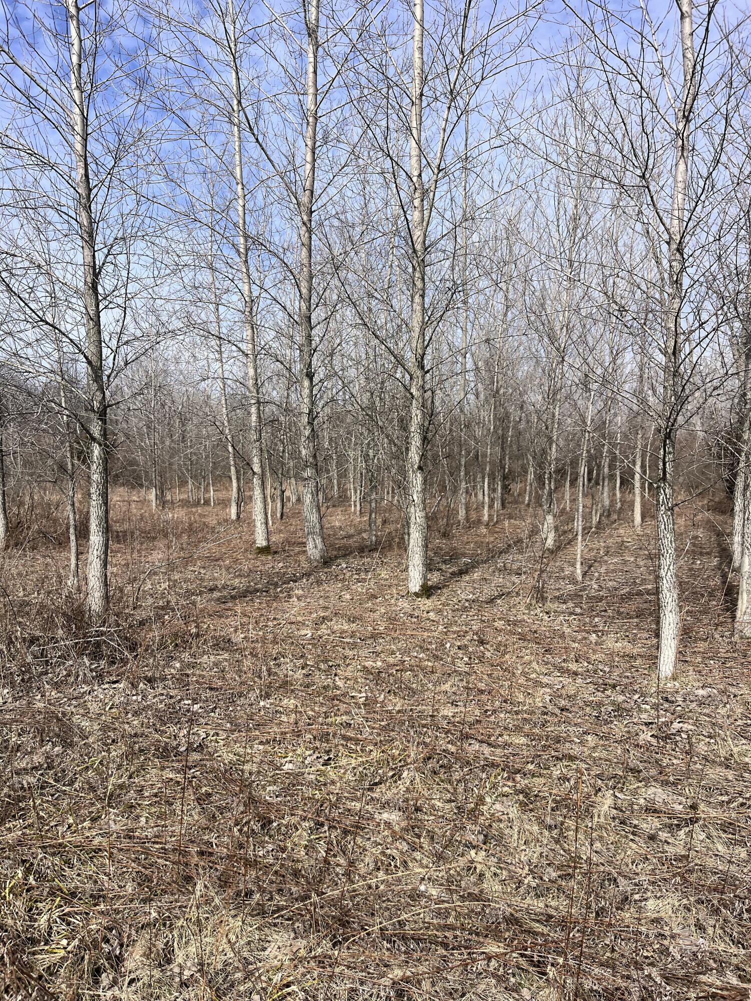 8453 South Durand Road Durand, MI 48429 - Photo 32 of 38 IMG_8186