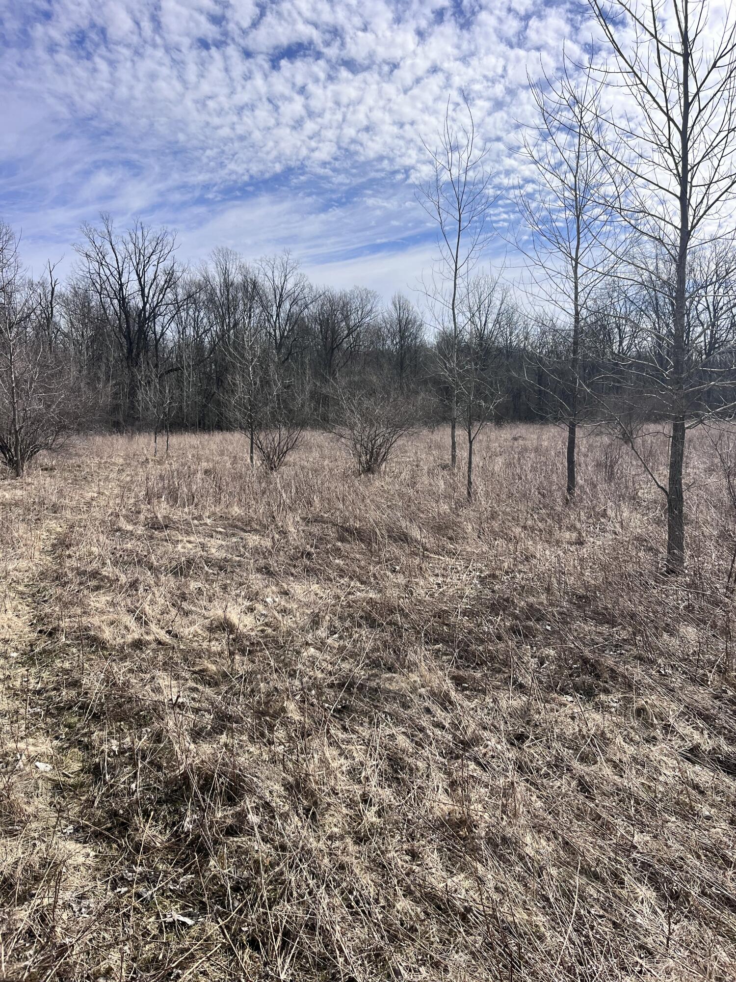 8453 South Durand Road Durand, MI 48429 - Photo 34 of 38 IMG_8188