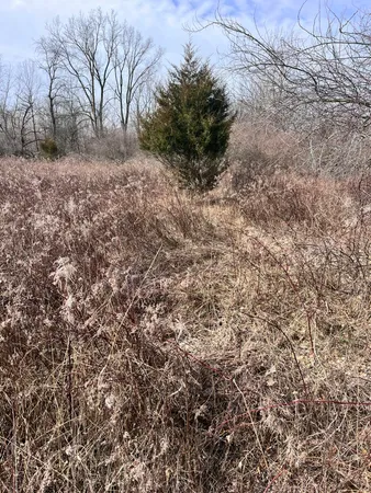 $465,000 | 8453 South Durand Road, Durand, MI 48429