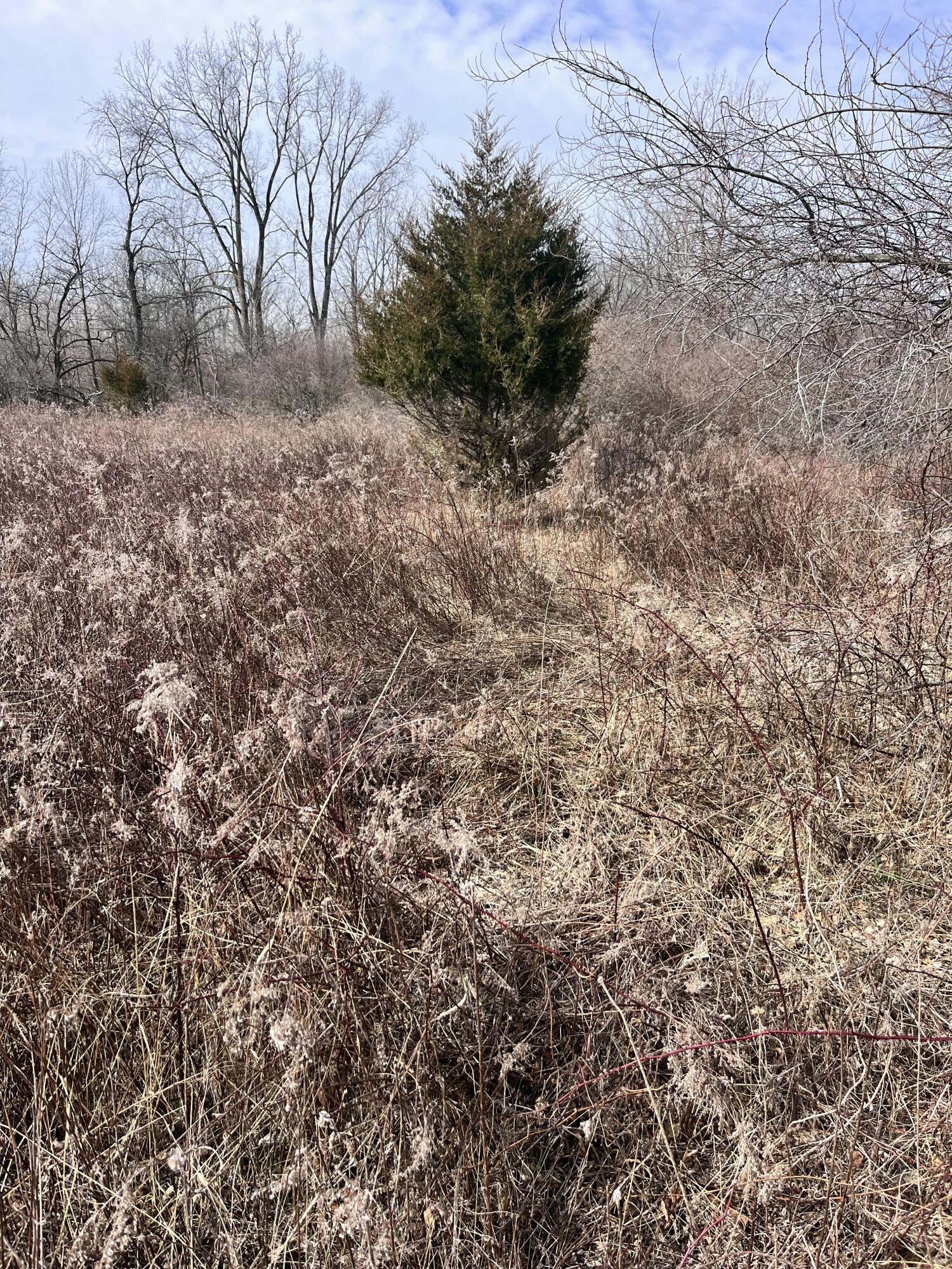 8453 South Durand Road Durand, MI 48429 - Photo 35 of 38 IMG_8189