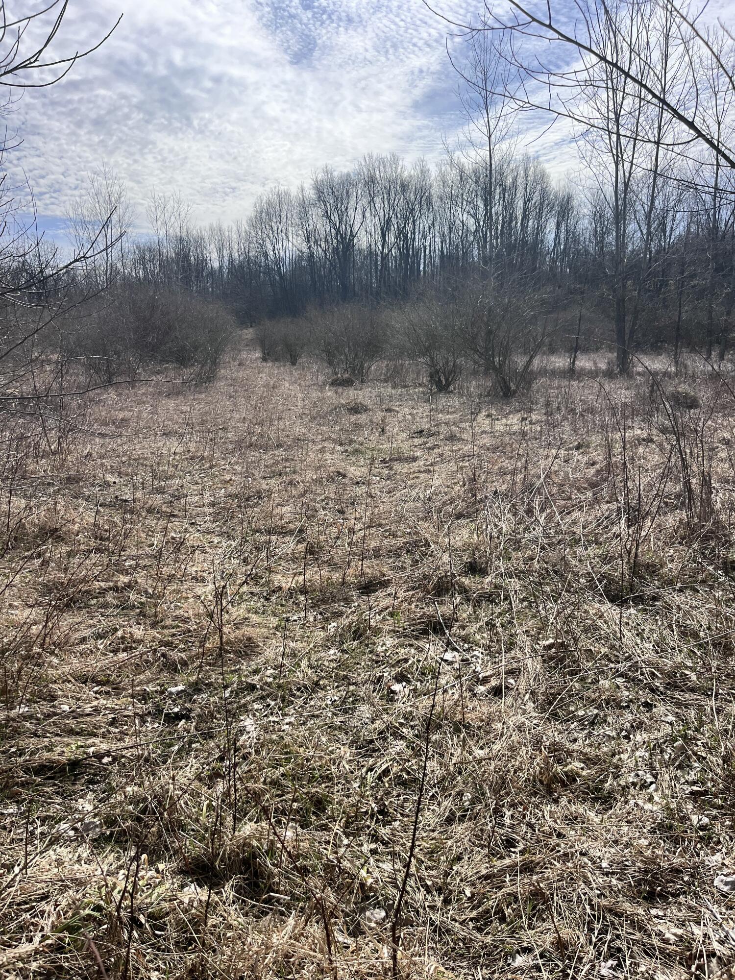 8453 South Durand Road Durand, MI 48429 - Photo 36 of 38 IMG_8191