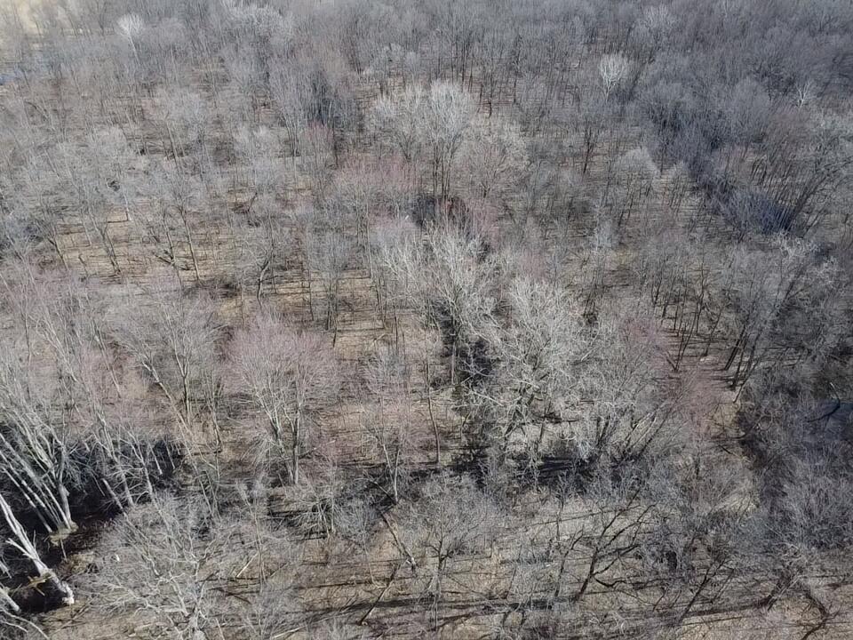 8453 South Durand Road Durand, MI 48429 - Photo 9 of 38 2026-03-29-10-51-10-831