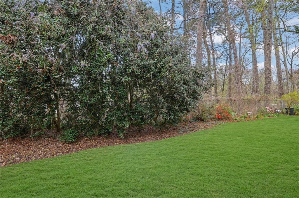 3825 Lavista Road, Unit O1 Tucker, GA 30084 - Photo 36 of 36 a view of a yard with a trees