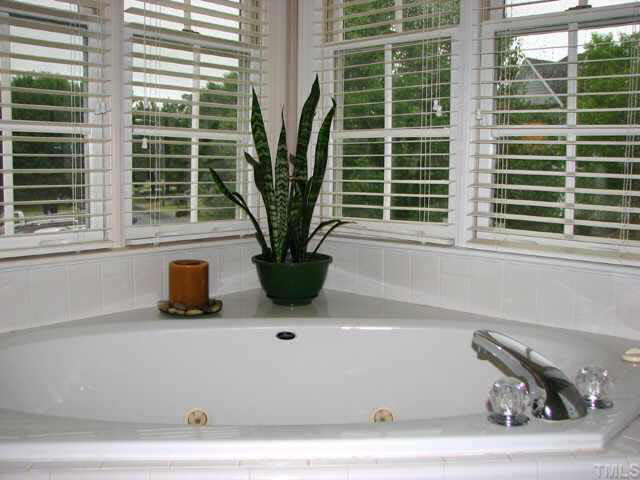 2017 Laurel Valley Way Raleigh, NC 27604 - Photo 8 of 10 a potted plant sitting on a window sill and a sink