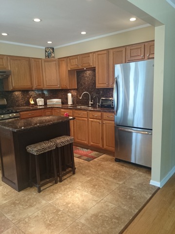 295 North Mill Road Wood Dale, IL 60191 - Photo 6 of 25