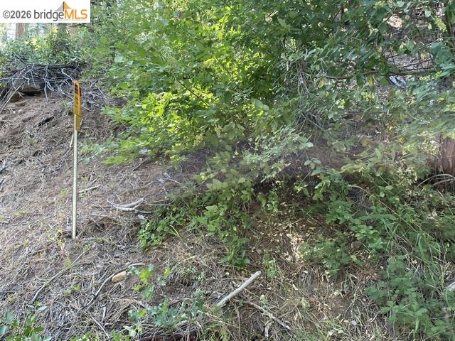 34 Snow Bowl Road Long Barn, CA 95335 - Photo 7 of 14 Gallery Image 7