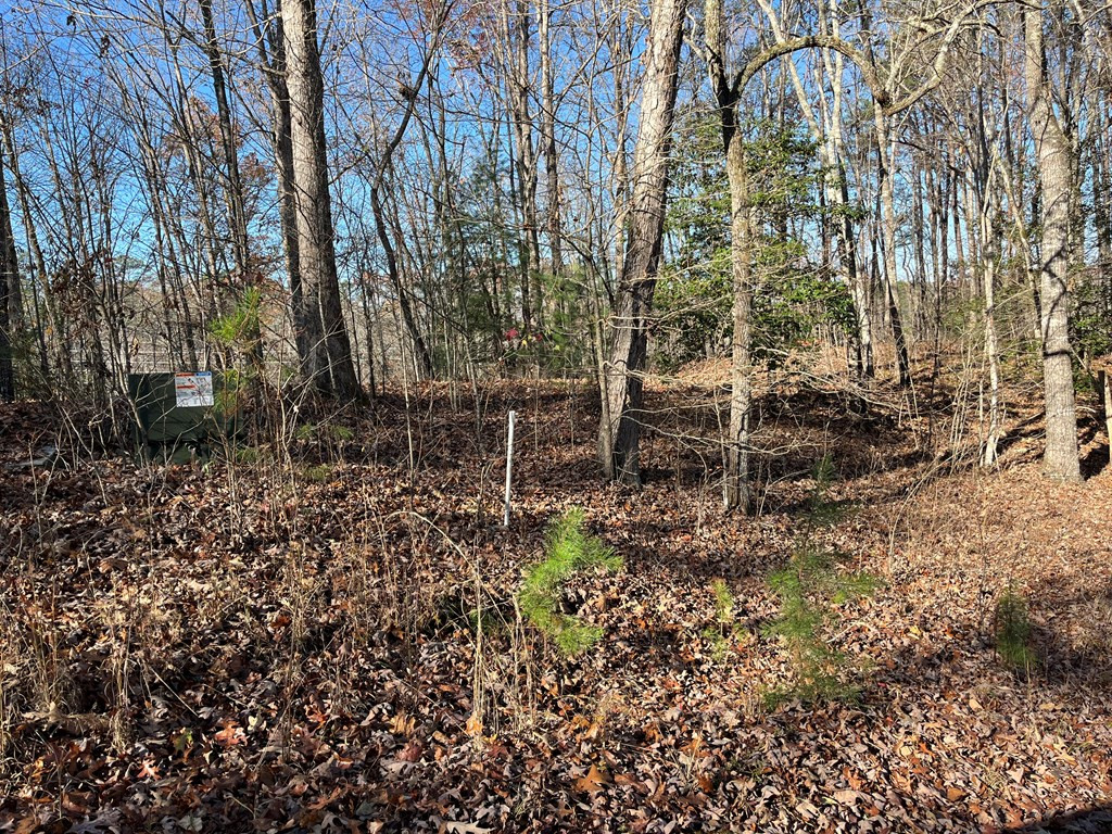 Tbd Corey Hill Murphy, NC 28906 - Photo 4 of 6