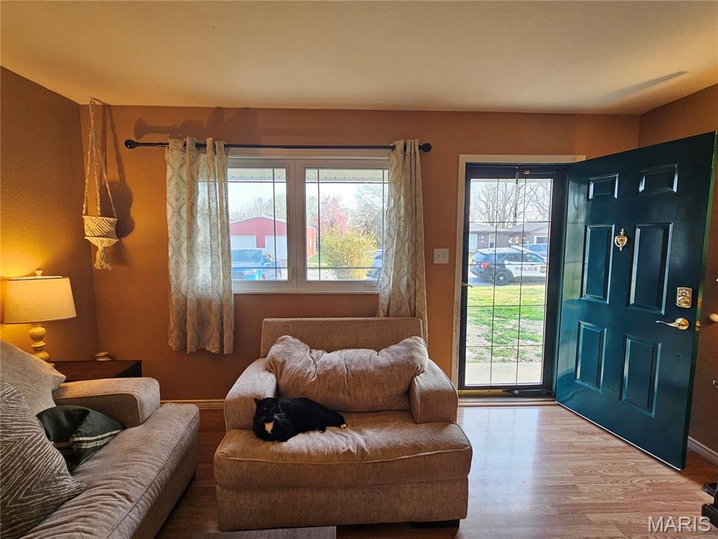 313 North Meadow Lane Steeleville, IL 62288 - Photo 10 of 22