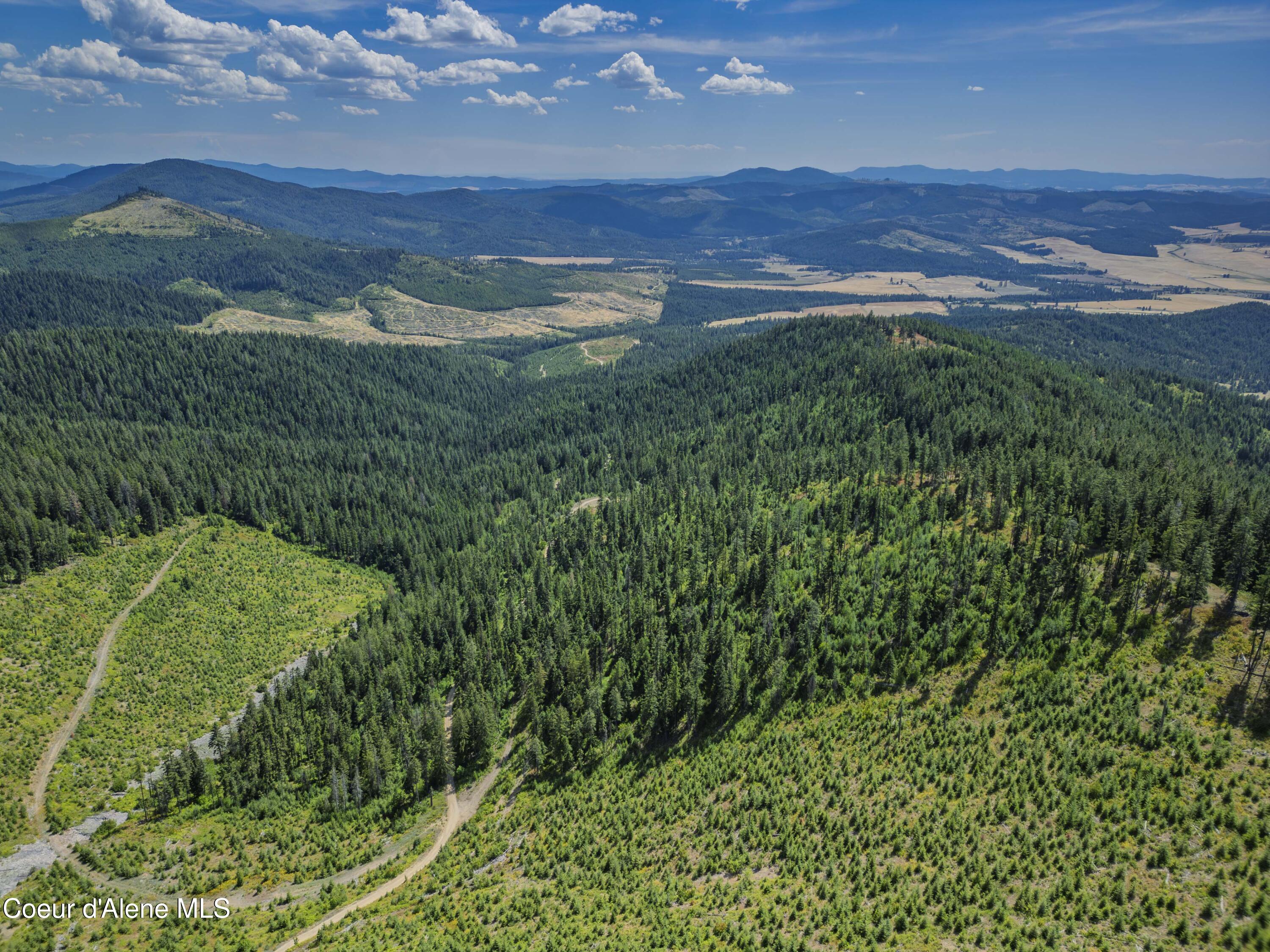Nna Indian Creek Road St. Maries, ID 83861 - Photo 12 of 40 Hendricks - Sanders0007Compressed